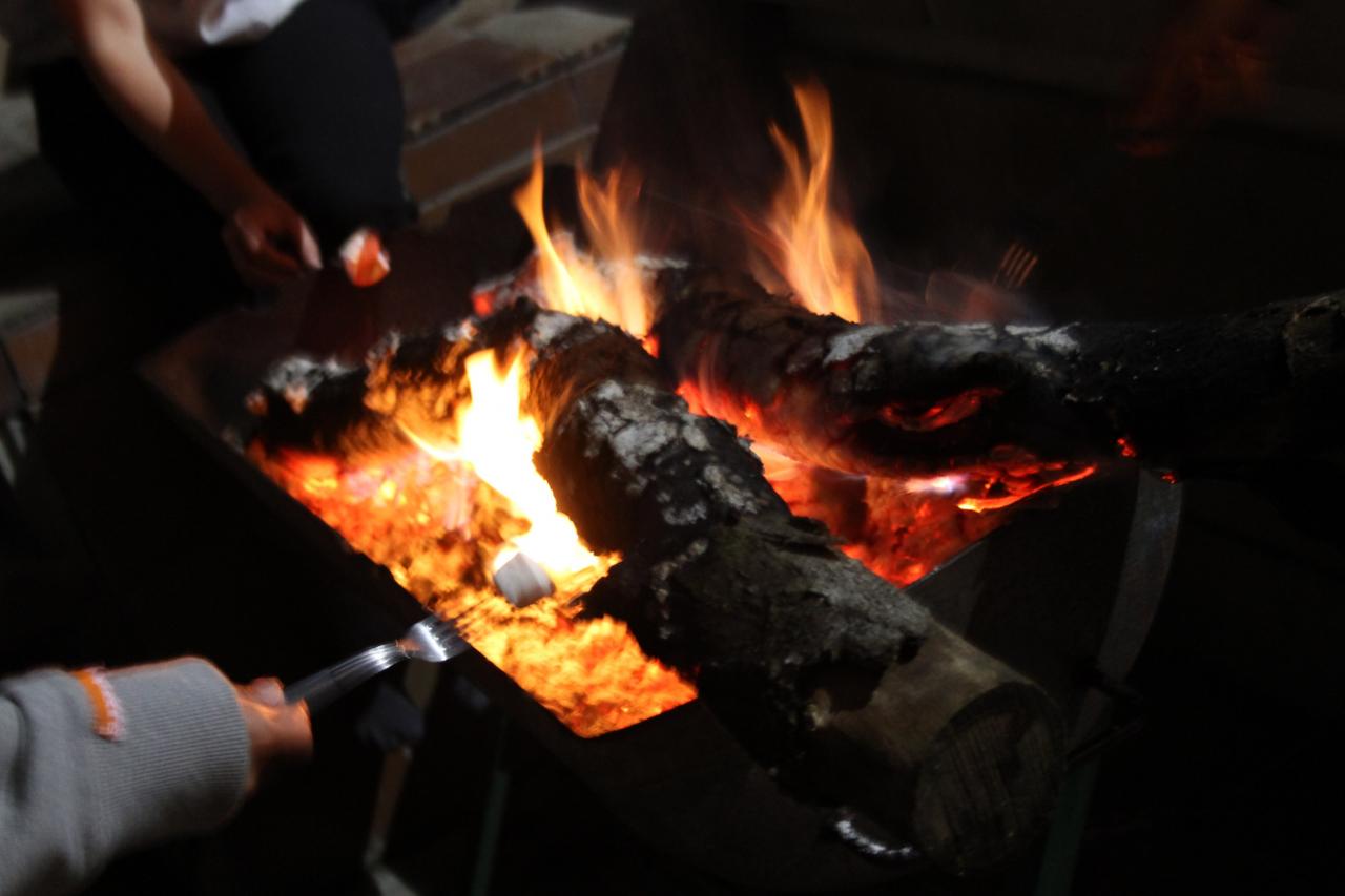 Château du Buisson : Barbecue